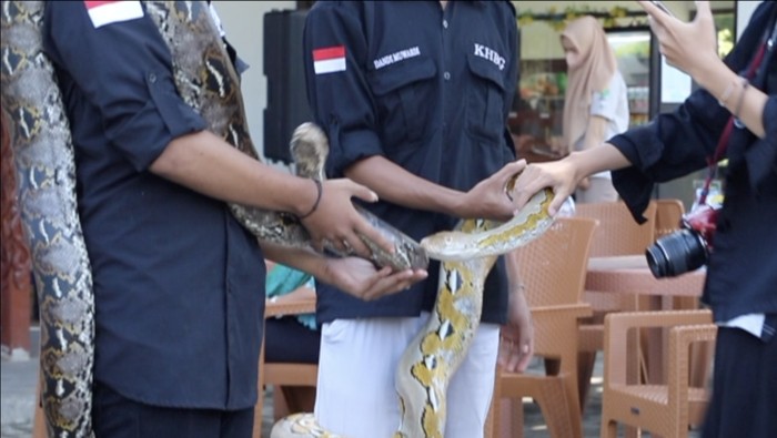 Komunitas Hewan Bojong Gede dan Animals Education and Socialization tengah memberikan edukasi tentang ular di Bogor Fruit Garden