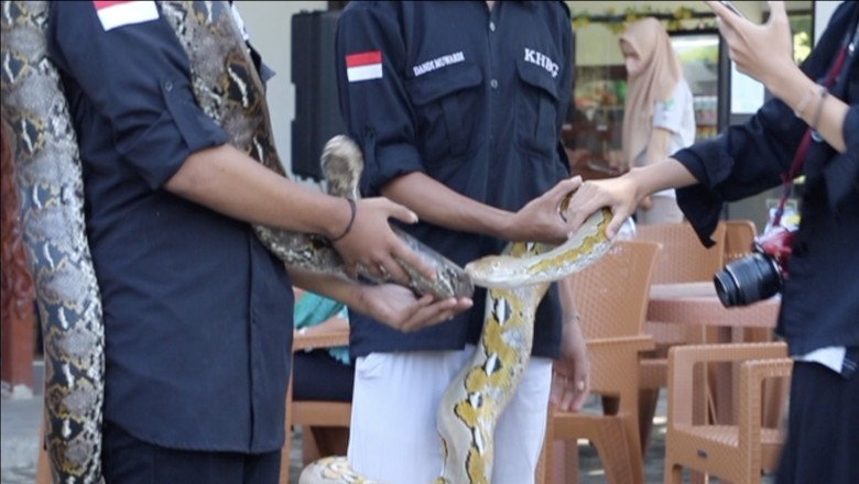 Ular Komunitas Hewan Bojong Gede dan Animals Education and Socialization tengah memberikan edukasi tentang ular di Bogor Fruit Garden