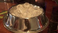 Aneh! Pada restoran ini, sebongkah es batu yang dipesan pelanggan akan disiapkan dalam wadah tempat makan binatang. Foto: ranker.com / Josh Gu