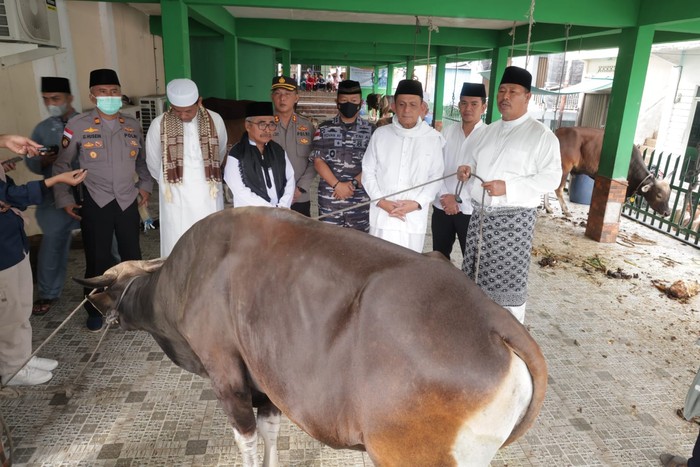 Gubernur Ansar Serahkan 2 Ekor Sapi Kurban Jokowi ke Bupati Anambas