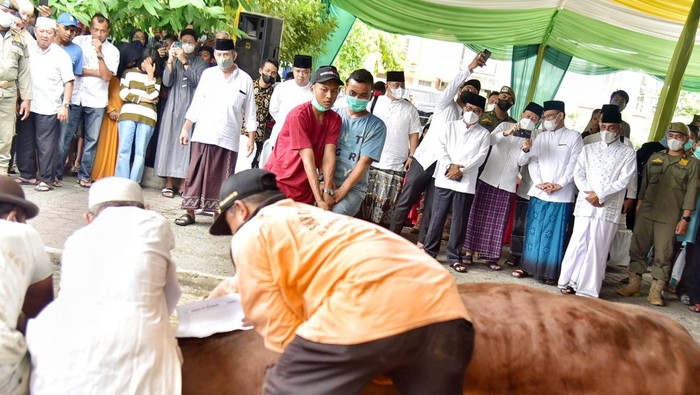 Gubsu Edy Rahmayadi saat melihat penyembelihan hewan kurban miliknya di masjid Al-Jihad Medan