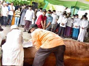 Sapi 1 Ton dari Gubsu Edy Disembelih di Masjid Al-Jihad Medan