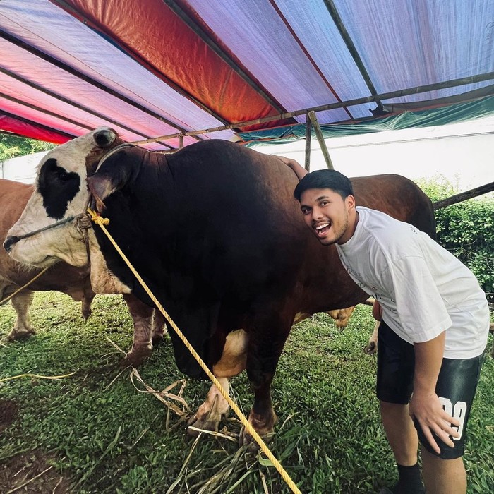 Hewan kurban artis