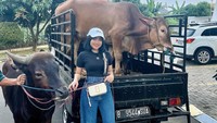 Fuji tampak membeli 2 sapi untuk kurban di Idul Adha tahun ini. Sapi pertama ia kurbankan untuk dirinya dan ala, dan sapi lainnya untuk Vanessa Angel serta Bibi Ardiansyah. Foto: Instagram