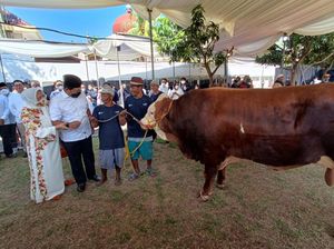 Kumpulan Contoh Proposal Permohonan Hewan Kurban