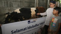 Sebagai bagian dari wujud kepedulian kepada masyarakat, selain penyerahan hewan qurban, AXA Mandiri baru-baru ini juga telah melakukan kegiatan pembersihan Sungai Ciliwung di Bogor, Jawa Barat, penyelamatan hutan bakau di Pulau Pari Kepulauan Seribu, Jakarta Utara. Kegiatan pelestarian lingkungan tersebut juga merupakan bagian strategi keberlanjutan dan peningkatan layanan kepada nasabah.