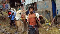 Beberapa daerah juga mengalami lonjakan harga hewan kurban. Di ibu kota Yaman, hewan ternak bisa mencapai 2.100 dollar atau Rp 31 juta per ekor. Foto: AFP via Aljazeera_MOHAMMED HUWAIS