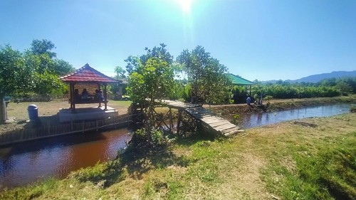 Kawasan Ekowisata hutan mangrove, Desa Budeng, Kecamatan Jembrana, Kabupaten Jembrana, Bali, Minggu (10/7/2021)