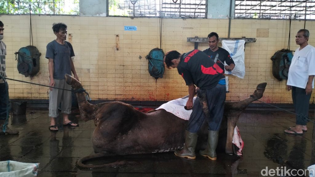 Kegiatan di Rumah Potong Hewan di Kota Bandung saat Idul Adha.