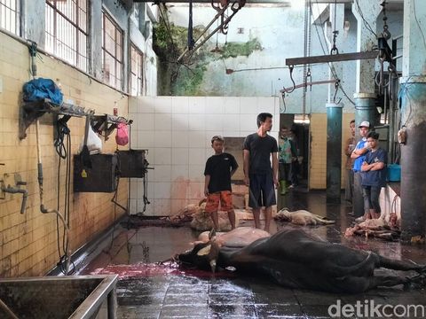 Kegiatan di Rumah Potong Hewan di Kota Bandung saat Idul Adha.