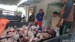 Melihat Aktivitas Pemotongan Hewan Kurban di RPH Denpasar