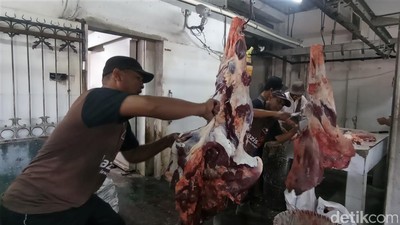 Melihat Aktivitas Pemotongan Hewan Kurban di RPH Denpasar