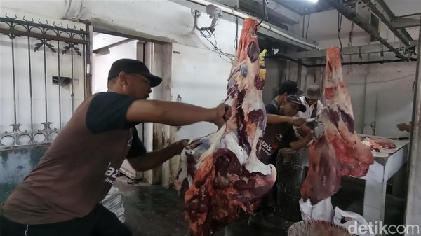 Melihat Aktivitas Pemotongan Hewan Kurban di RPH Denpasar