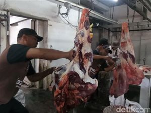Melihat Aktivitas Pemotongan Hewan Kurban di RPH Denpasar