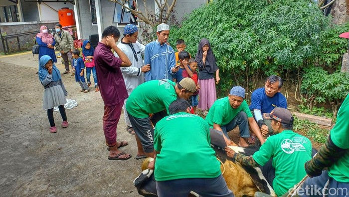 Para penyandang Tunanetra dari Pesantren Tahfidz Tunanetra Saman Darushudur turut menggelar pemotongan hewan kurban. Pemotongan tersebut pun dibantu oleh masyarakat sekitar.