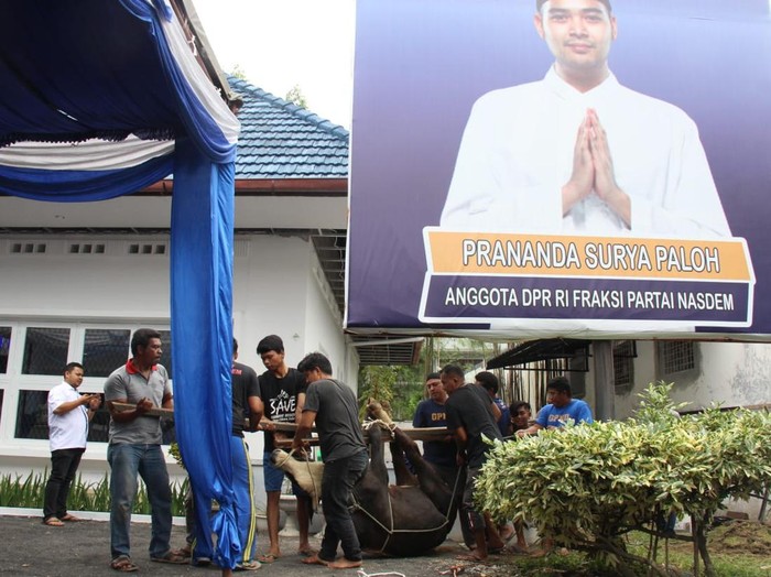 Pelaksanaan pemotongan hewan kurban di PSP Foundation Medan