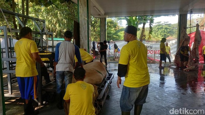 Penyembelihan hewan kurban di Masjid Al-Azhom Kota Tangerang