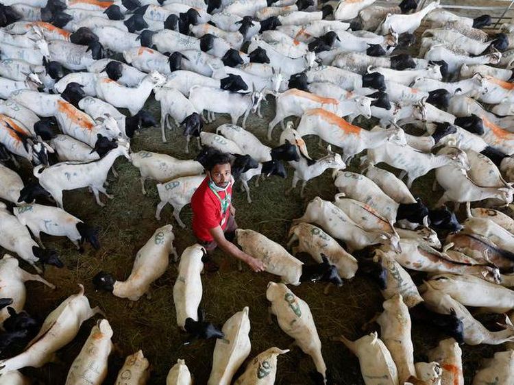 7 Potret Perayaan Idul Adha di Berbagai Belahan Dunia, Ada yang Kurban Unta!