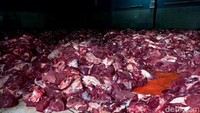 Ketua Panitia Kurban Idul Adha di Dusun Krajan, Desa Batur, Banjarnegara, Ahmad Hidayat, menyebut di dusun itu terdapat ratusan hewan kurban terdiri dari 7 ekor sapi dan 229 kambing. Foto: Uje Hartono/detikJateng