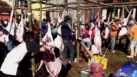 Jumlah hewan kurban di Dusun Krajan Banjarnegara tahun ini meningkat di banding sebelumnya. Foto: Uje Hartono/detikJateng