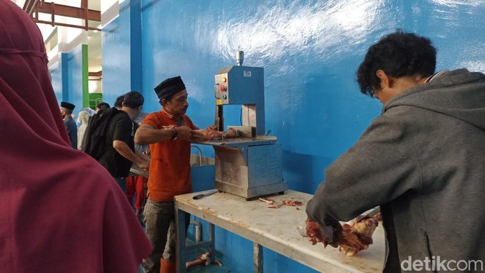 Sapi kurban di RPH Makassar.