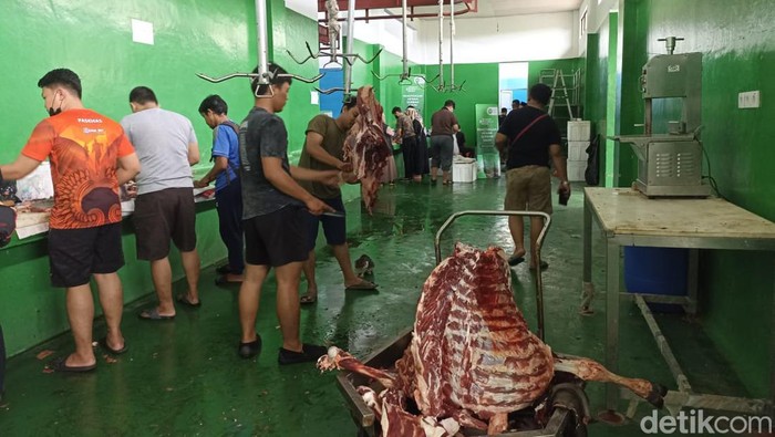 Sapi kurban di RPH Makassar.