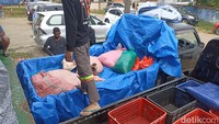 Foto: Sapi kurban yang sudah disembelih di RPH Makassar dibawa mobil pikap untuk didistribusikan ke warga, pada Minggu (10/7/2022).