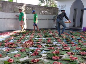 Kurangi Sampah Plastik, Warga Depok Bagikan Daging Kurban Pakai Daun