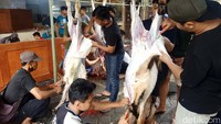 Jumlah hewan yang dipotong  LDII Bali, yakni sebanyak 103 ekor sapi dan 220 ekor kambing.