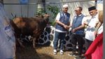 Berkurban untuk Pemulihan Ekonomi Pascapandemi
