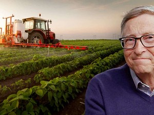 Bill Gates Mau Berhenti Jadi Orang Kaya, Harta Mau Disumbang Semua