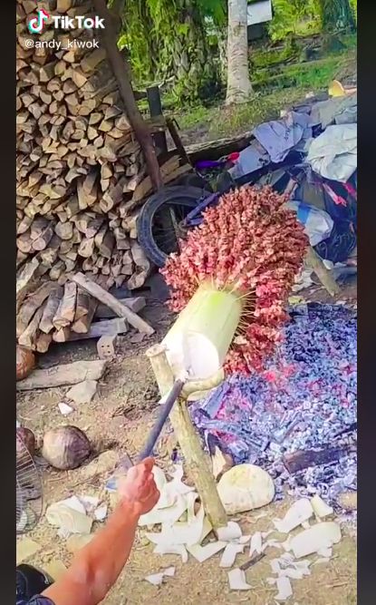 Cara kreatif membakar sate