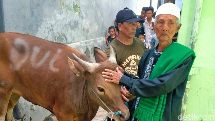 Dulhari, Lansia Loper Koran yang berkurban sapi
