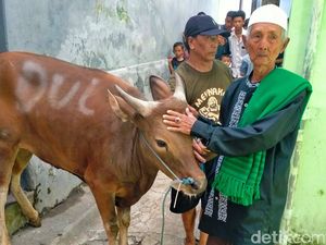 Uang Tabungan Loper Koran Banyuwangi yang Kurban Sapi Sempat Dimakan Rayap