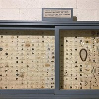 Sebuah museum di Amerika punya koleksi berupa benda-benda yang pernah dikeluarkan dokter dari tenggorokan pasiennya. Bisa lihat benda mencengangkan apa saja yang pernah tertelan manusia? Foto: Dok. Reddit