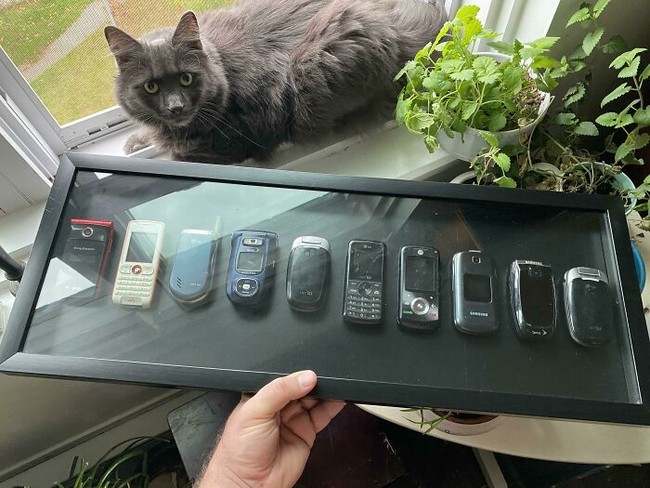 Dibuang sayang, pria ini menyimpan seluruh ponsel yang pernah dia pakai. Dari ponsel pertama hingga terbaru. Bahkan koleksi ponselnya ditata dan dibingkai untuk jadi pajangan. Foto: Dok. Reddit