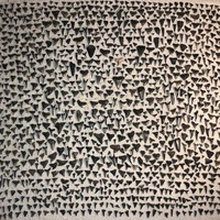 Seorang nenek mewariskan koleksi ke cucunya, berupa kolase gigi ikan hiu yang dia kumpulkan saat masih muda. Foto: Dok. Reddit