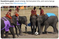 Meme Sindiran Sepakbola Gajah untuk Thailand-Vietnam di Piala AFF U-19 2022