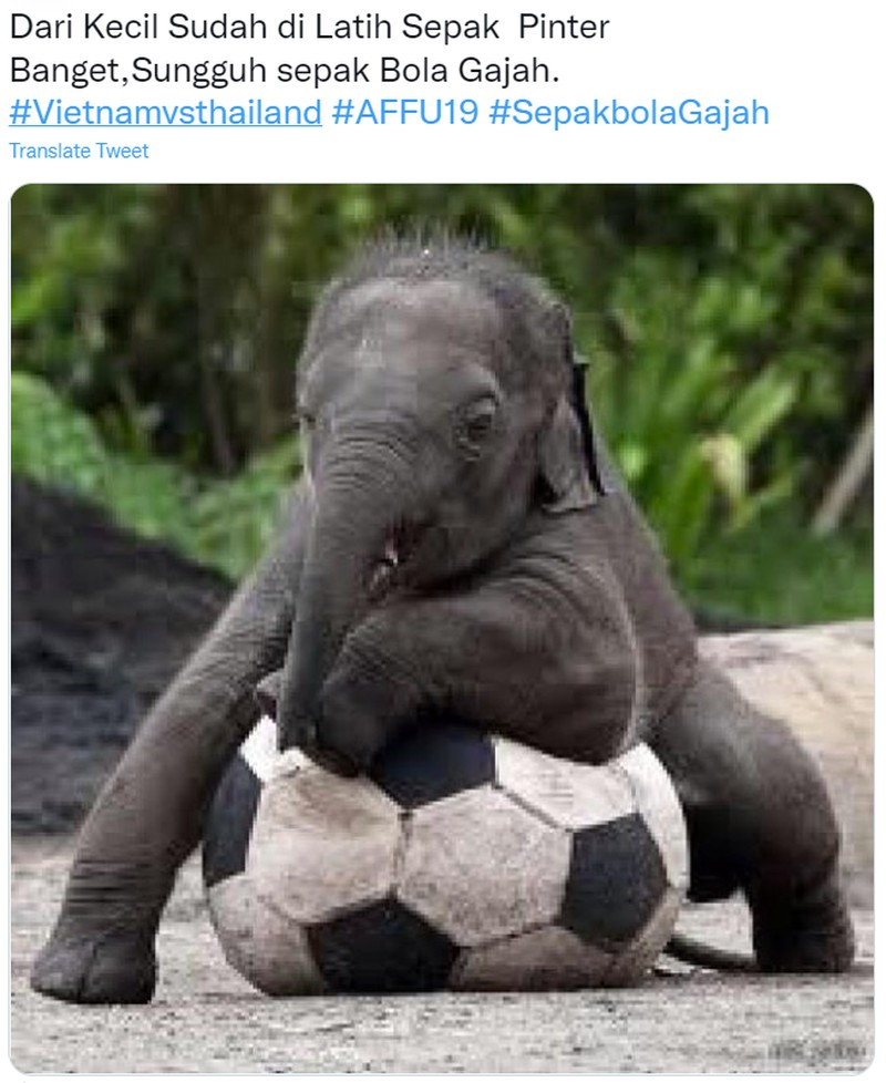 Meme Sindiran Sepakbola Gajah untuk Thailand-Vietnam di Piala AFF U-19 2022
