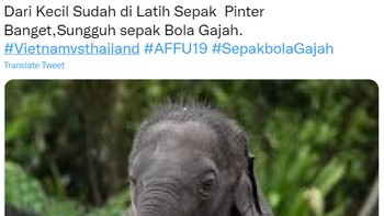 Sindiran netizen Indonesia untuk Thailand yang memang akrab dengan gajah. Foto: (Twitter)