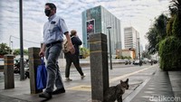 Menurut catatan Air Quality Index (AQI), kualitas udara Jakarta di zona merah atau tidak sehat.