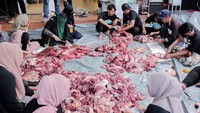 Wow! Meskipun tak bisa ikut merayakan, Putra Siregar tetap memberi amanah kepada keluarganya untuk menyembelih hingga 2.008 ekor hewan kurban. Foto: Instagram @septiasiregar17