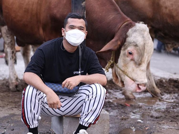 Momen Keluarga Putra Siregar Kurban 2.008 Ekor Hewan Saat Idul Adha