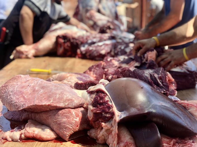 Penjelasan daging kurban masih bergerak