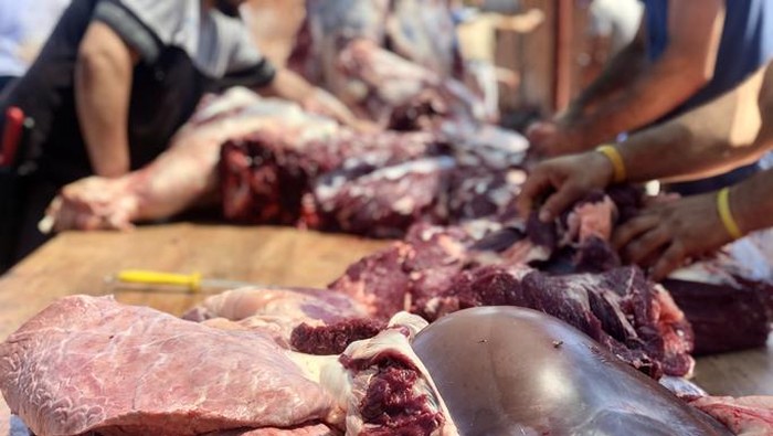 Penjelasan daging kurban masih bergerak