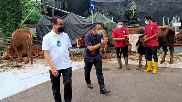 Penyembelihan dan Pembagian Hewan Kurban Ketua Panita Qurban PT Jamkrindo Wahyu Nando Wijaya bersama Dirut PT Jamkrindo Putrama Wahyu Setyawan dengan didampingi jajaran direksi Jamkrindo secara simbolis menyerahkan dan menyaksikan pemotongan hewan Qurban di Kantor Pusat PT Jamkrindo, Senin (11/7/2022).