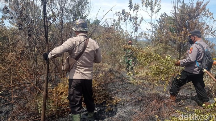 Petugas memadamkan api yang membakar lahan di Rokan Hulu, Riau,