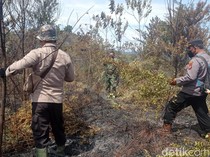 2 Perusahaan Bantah Disegel Kementerian LH karena Terlibat Karhutla di Riau