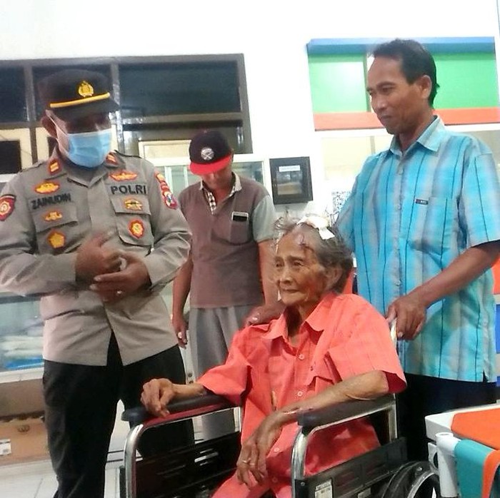 pohon tumbang di trenggalek