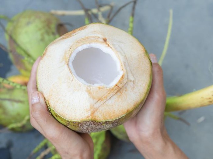 Racikan jus air kelapa muda dan kurma yang menyehatkan menurut dr. Zaidul Akbar
